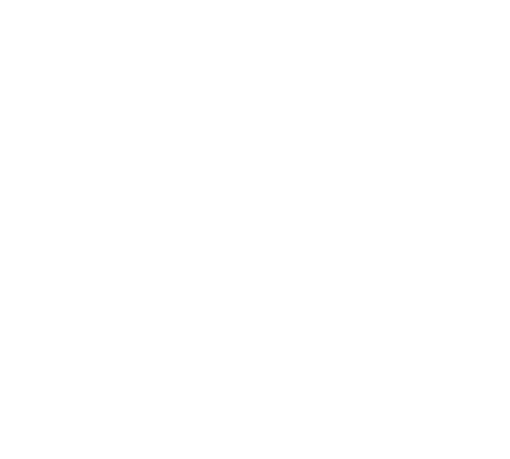 Indev BD